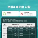 [일본 대마도 당일치기 #0] 대마도 히타카츠 당일치기여행 배편과 준비물 포켓와이파이 멀미약 환전까지