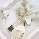 해비치안경원 | 구미 부케 말리기 선물 숲의 안부 원목액자 내돈내산 솔직후기