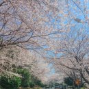 신평동1080 이미지