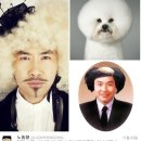 개랑나랑 세계일보