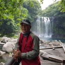 천제연폭포 이미지