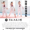 더 마스터 태권도 이미지