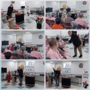 신기한 마술 세상 이미지