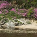 별꽃둥지민박 이미지