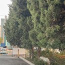 김영찬내과의원 이미지