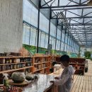 동동바구;피카그린