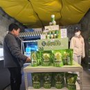 광산구-150 | 충주 활옥동굴(HWALOK CAVE) 다녀온 후기｜100년 광산이 ‘빛의 동굴’로 변신한 곳