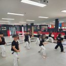 다부진 합기도 이미지