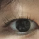 블리즈미