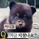 여름이 온다