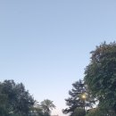 정치08 | 판테온 신전 만신전이 유일신으로, 여행 1일 차 후기