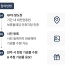 현충원 산책길 | 🌿 대전현충원 보훈둘레길 걷기 챌린지 후기 (광복 80주년 기념, 무릎 회복 Test)
