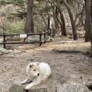 지에스25장산교차로점 | [3월 첫째 주&amp;둘째 주] 시작을 준비(만) 하는 중…