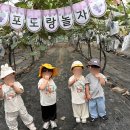 서머힐어린이집 이미지