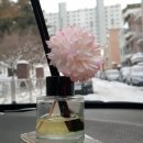 썸앤썸 이미지