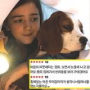 안녕댕댕이 이미지