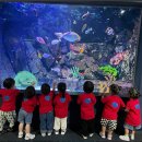 다솜음악미술어린이집 이미지