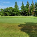 동경파크 이미지