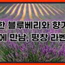 강릉원예농협 태양광발전소 | [강원6차산업] 서포터즈가 알려주는 6차산업 (6)