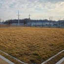 청주시 반려동물보호센터 이미지