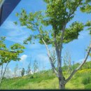 버스정류장 05-314 | 3박4일 부산&amp;마산여행 2일차 _ 보통날의 브런치, 해동용궁사, 아덴블랑제리 용궁사, 프루토프루타...