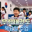 정점태권도장 | 💯 무학태권도 월말테스트 진행! 아이들의 땀과 노력이 빛나는 하루✨망포동 태권도학원 무학태권도장