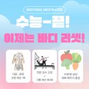 바디리셋 이미지