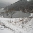 장연농장 Daum카페