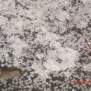 영광화학 이미지