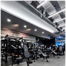 헤일로짐24시휘트니스 GX&필라 상동역점 이미지