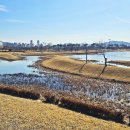 세종호수공원 이미지