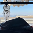 남당항해수목욕탕 이미지