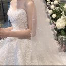 마리스포사앤아뜰리에레이나