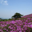 여수순천우림산우회 제282차( 5월 5일) 보성 일림산 이미지