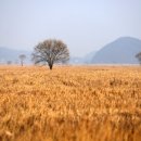 제일투자컨설팅