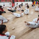 MAX태권도장 이미지