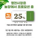 벼락청과