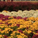 드림파크 이미지