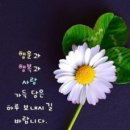 클로버 이미지