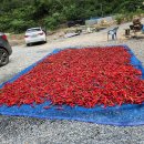 민박 동면 이미지