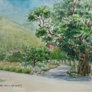 조비마을회관 이미지