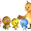 엄마까투리 이미지