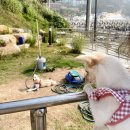 애경노래연습장 이미지