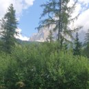 참솔에너지 | 돌리미티 까레쨔(LAKE carerra)호수를 마지막으로 공항을 향하다