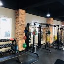 바디스트 이미지