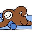 엠씨티 짐 시청 이미지