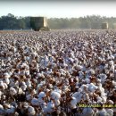 목화농장 이미지