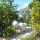 Flametree_ 이미지