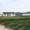 여주-0090 이미지