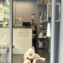 대만 2박3일 자유여행 (아뜰리에 루터스,융캉우육면, 수신방,삼미식당, 스린야시장)